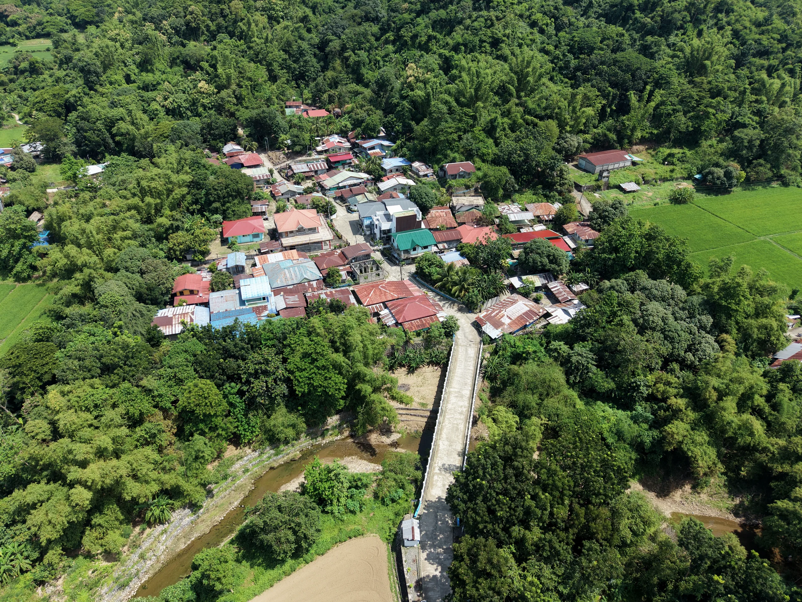 Barangay Bisangol from the air.