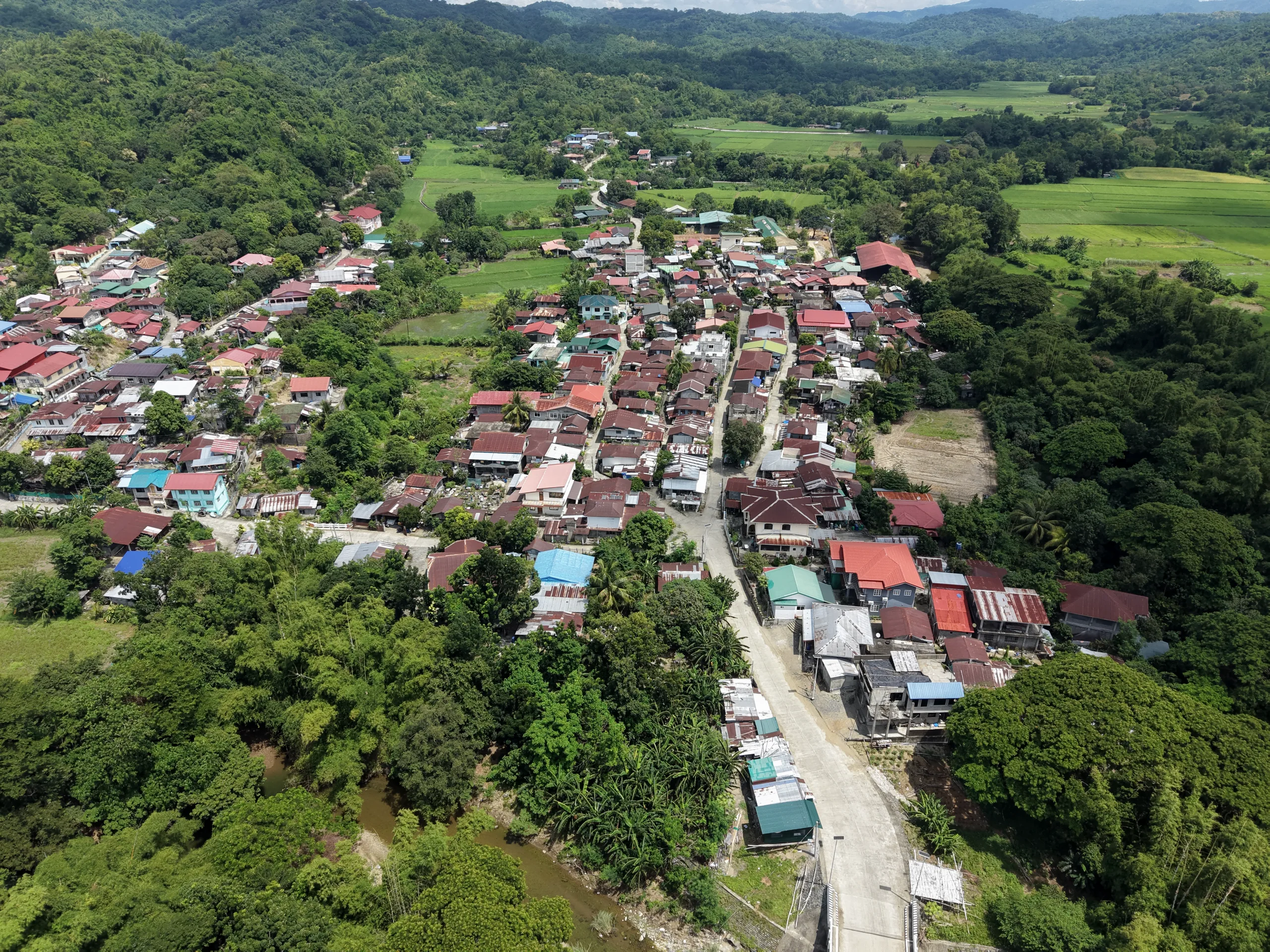 Barangay Naguimba from the air.